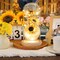 Artificial Sunflower in Glass Dome with LED Lights, Sunflower Gift for Women, Mom, Grandma, Birthday/Mother's Day/Home Decor - Thoughtful Keepsake Present for Anniversary